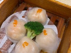 -正哥点心皇子(旺城广场店)