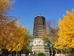 -玲珑塔公园