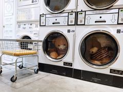 -XI·LaundryCafe 喜咖自助洗衣咖啡店