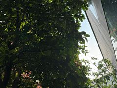 -Ocean's Table 欧舍