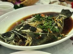 -昆仑和悦酒店(青岛奥帆中心五四广场店)