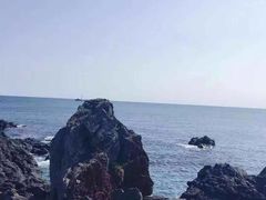 -涉地可支