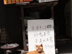 -科巷菜场