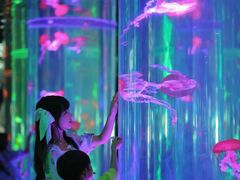 -海合安成都极地海洋公园