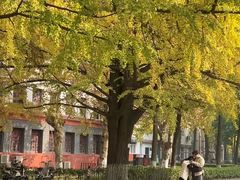 -四川大学(望江校区)