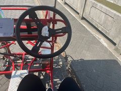 -上海海湾国家森林公园