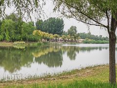 -东郊湿地公园