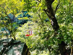 -北京上方山国家森林公园