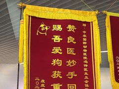 -中农国际动物医院24小时·猫科·骨科·急重症中心