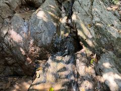 -西双版纳基诺山寨