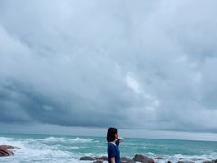 -广东惠东海龟国家级自然保护区
