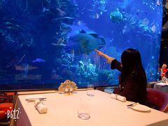 -迪拜帆船酒店海底餐厅