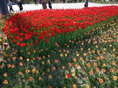 -长春公园(普阳街道)