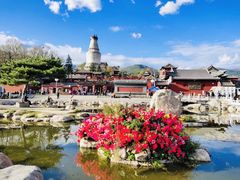 -五台山风景区