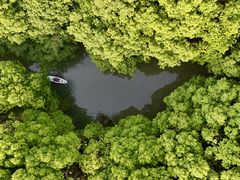 -动邦皮划艇·桨板·独木舟·团建户外运动俱乐部