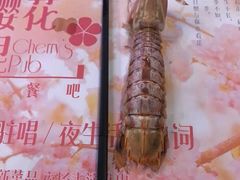 -樱花里音乐餐吧·牛扒椰子鸡(东圃店)