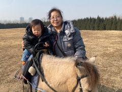 -汉长安城未央宫国家考古遗址公园