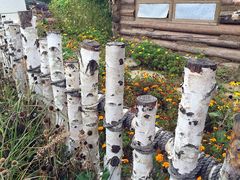 -武清南湖绿博园