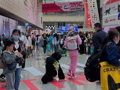 -东浩兰生上海世博展览馆