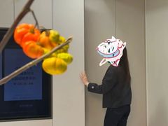 -索菲亚衣柜橱柜家具全屋定制(十里河居然之家店)