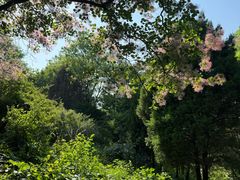 -石家庄市植物园