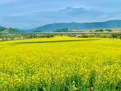 -光明小镇欢乐田园
