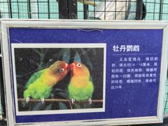 -洛阳龙门海洋馆