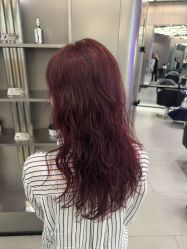 -东方麒麟·潘多拉SALON