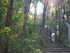 -云龙山