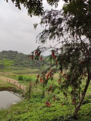 -佛灵湖水上乐园