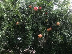 -金逸影城(影视中心IMAX店)
