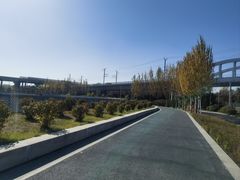 -丁香湖公园