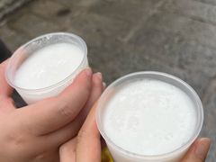 -洪馨椰子
