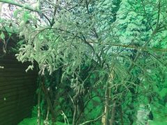 -美心红酒小镇游乐园