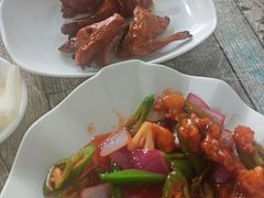 -东鸽皇(奥园·中环广场店)