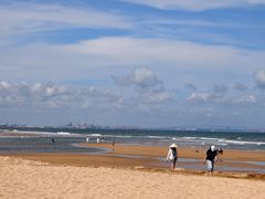 -日照海滨国家森林公园