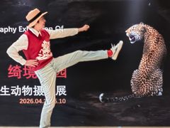 -The Cheesecake Factory芝乐坊餐厅(兴业太古汇店)