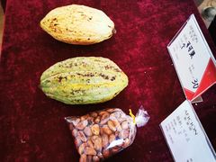 -歌斐颂巧克力小镇