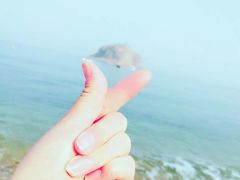 -棒棰岛宾馆景区