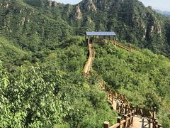 -大岭沟猕猴桃谷风景区
