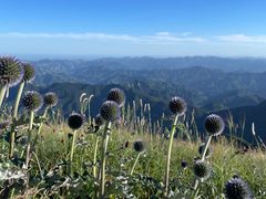 -白草畔自然风景区