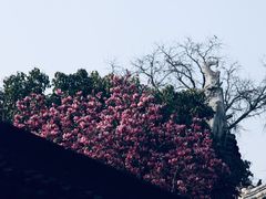 -吴作人艺术馆