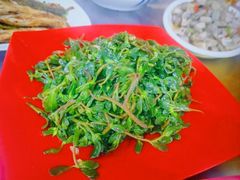 -绿林山庄土菜馆