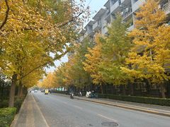 -北京理工大学(中关村校区)