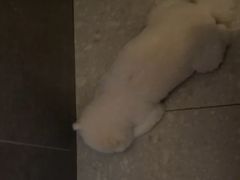 -和子足浴SPA会馆(竹山路店)