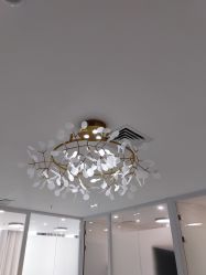 -久匠·野生眉半永久纹眉