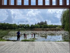 -上海长兴岛郊野公园