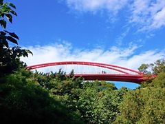 -金鸡山公园