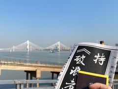 -武汉知音号