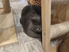 -小时光咖啡馆(开森度假森林店)
